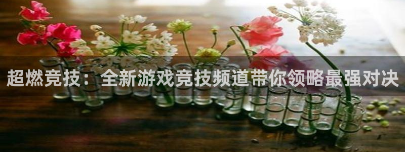 多宝电竞百家号