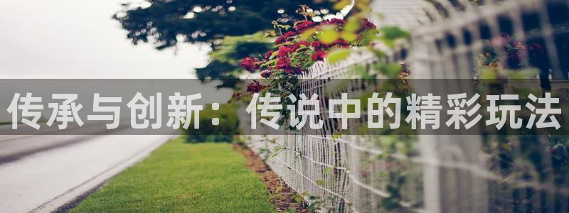 多宝电竞下载app