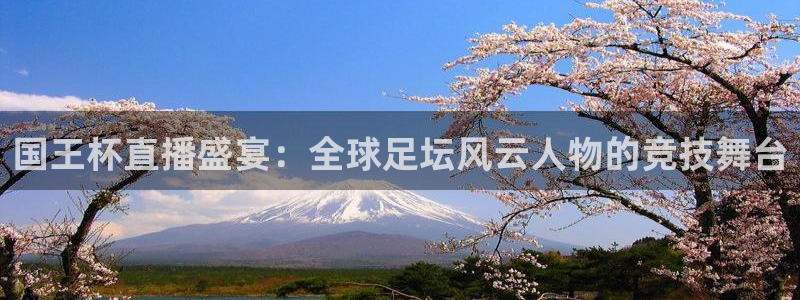 360直播网 足球直播网：国王杯直播盛宴：全球足坛风云人物的竞技舞台