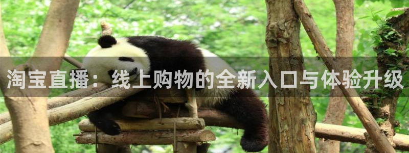 360直播足球比赛：淘宝直播：线上购物的全新入口与体验升级