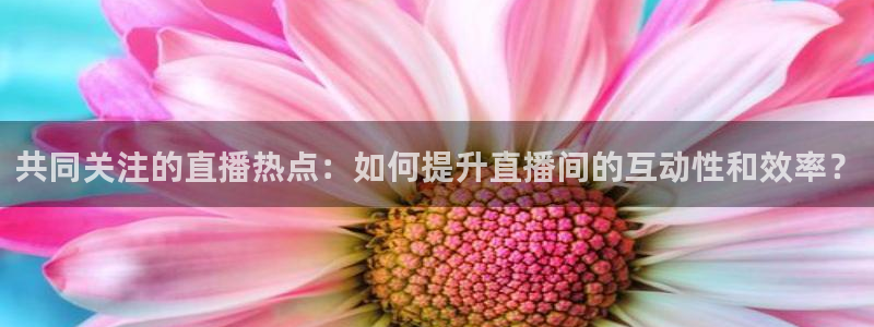 雨燕直播360高清直播nba：共同关注的直播热点：如何提升直播间的互动性和效率？