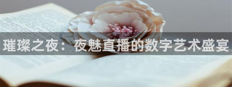 乐球吧nba直播雨燕360：璀璨之夜：夜魅直播的数字艺术盛宴