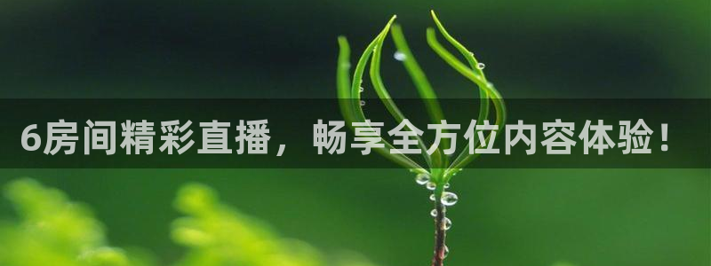 360无插件体育直播手机版：6房间精彩直播，畅享全方位内容体验！