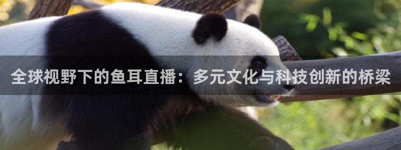 雨燕360体育直播免费观看高清：全球视野下的鱼耳直播：多元文化与科技创新的桥梁
