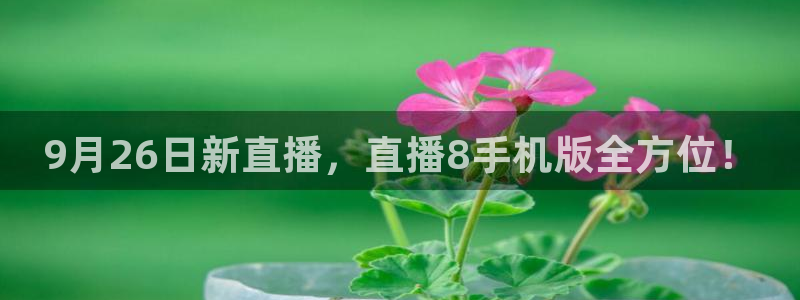 360直播雨燕：9月26日新直播，直播8手机版全方位！