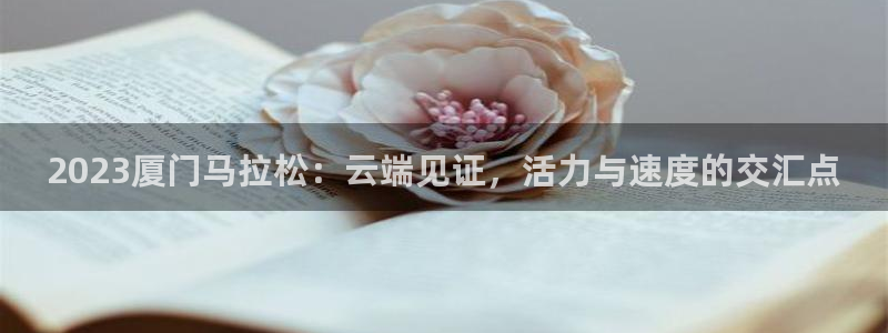 360体育直播在线直播观看：2023厦门马拉松：云端见证，活力与速度的交汇点